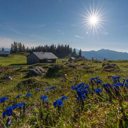 Seehotel Brandauer's 4* 施特罗布尔